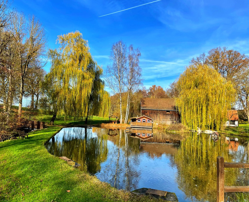 Teich und Weiden in der Region